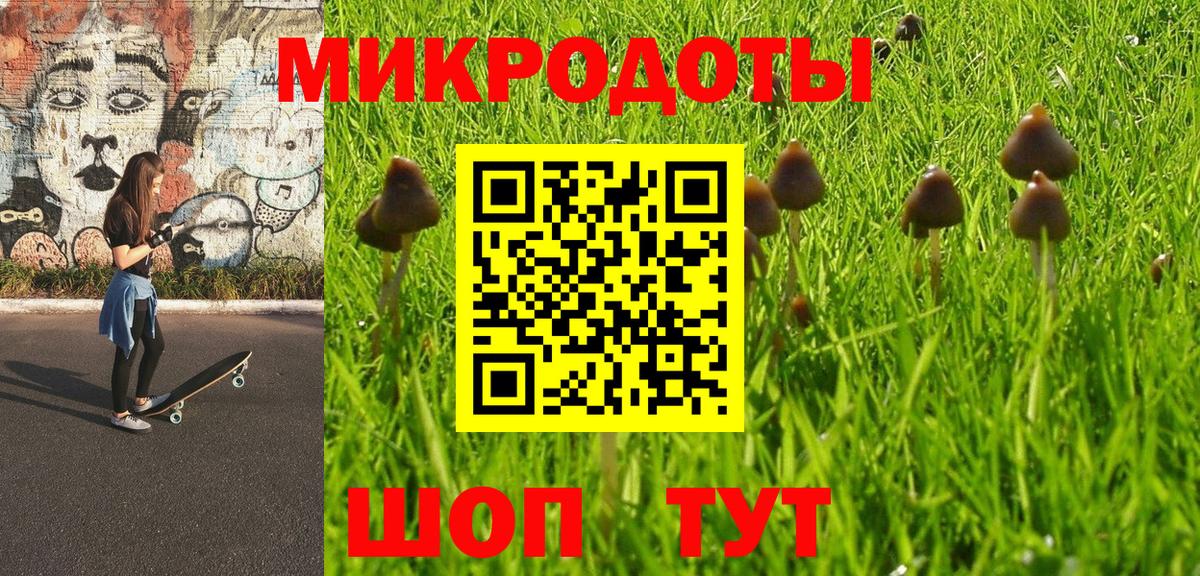 Псилоцибиновые грибы мухоморы Ижевск