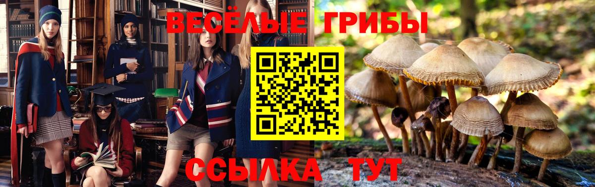 закладка  Псилоцибиновые грибы ЛСД  Вход с VPN  Ижевск  Псилоцибиновые грибы прущие грибы 